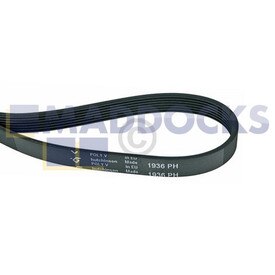 Universal Whirlpool, Brandt, Electrolux Drive Belt (1936H7)